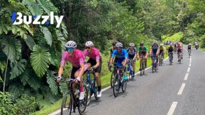 Un cycliste octogénaire est décédé après avoir été percuté par une voiture ce mardi 10 juin.