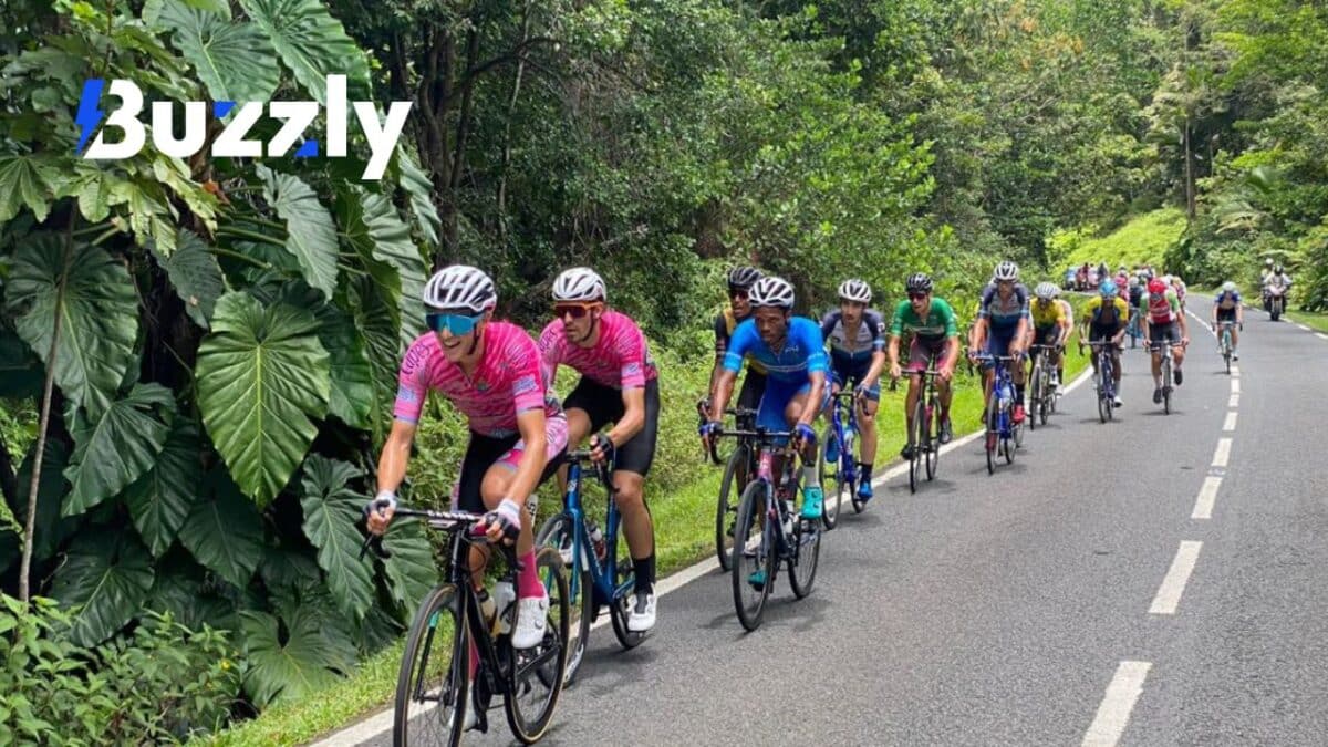 Un cycliste octogénaire est décédé après avoir été percuté par une voiture ce mardi 10 juin.