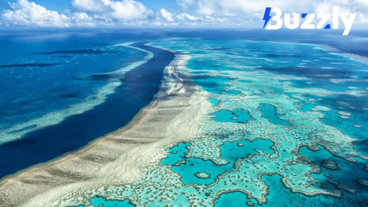 La Grande barrière de corail est actuellement en danger face au réchauffement climatique et à la pollution.