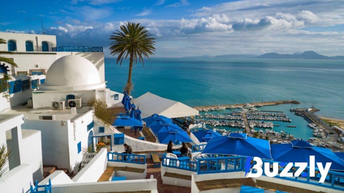 Cette année, la Tunisie arrive en tête des destinations préférées des français pour les vacances d'été.