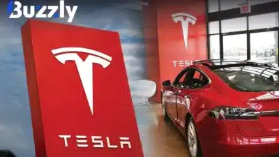Inde, Tesla déçoit par rapport aux attentes du public.